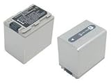 DCR-HC30.DCR-HC40�p  NP-FP90   (SILVER)�Ή��o�b�e���[