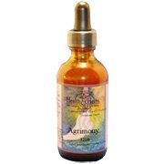 Agrimony - Reputation for healing jaundice and other liver problems, 2 oz., (Health Herb)