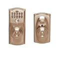 Schlage FE595 CAM 619 GEO