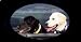 AIRBRUSHED LICENSE PLATES - LABRADOR RETRIEVER LICENSE PLATE - #99