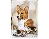 Welsh Corgis