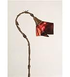 10W Handkerchief With Shepherds Hook Novelty Lamps And Accessories