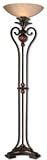 Andra Frosted Glass Scavo Glass Bronze Torchiere