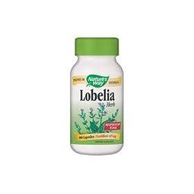 Nature's Way Lobelia