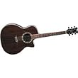 Dean Exotica Walnut Acoustic-Electric Cutaway Guitar with Tuner Preamp