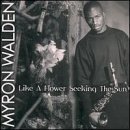 Like a Flower Seeking the Sun by  Walden,Myron 