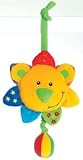TOLO - Rory the Musical Lion