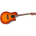 Applause AE128 Super Shallow Acoustic-Electric Guitar, Honey Burst