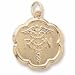 Registered Nurse Charm in Yellow Gold title=