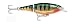 X-Rap Jointed Shad Perch
