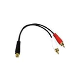 CABLES TO GO RCA Female To 2 RCA Male Y-Cable Gold Terminals Ensure Long Lasting Connections New Knowing God: Walking through the Book of Books