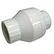 2in Check Valve- Thread