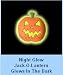 Glow in the Dark Pumpkin Shoe Charm