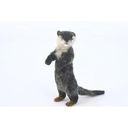Standing River Otter Limited Edition in Clear Box By Hansa