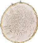 Pet Supplies : Vo-Toys Lined Wicker Canary Nest
