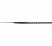 1 Alan Johnson Signature Long Striping Brush