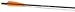 Sporting Goods : Carbon Bright 20" Bolts Vane Per6