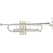 Stomvi 5000 Forte Series Bb Trumpet Silver