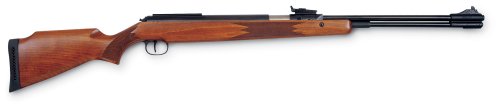 RWS 460 Magnum .177 cal. Air Rifle