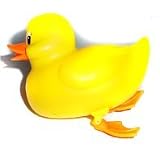 Swimming Duck!