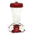 Top Fill Primrose Hummingbird Feeder 16 oz.