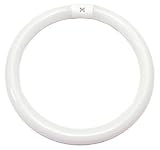 Eiko 15606 FC12T9/CW Circular T9 Fluorescent Tube Light Bulb