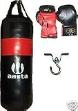 Kids punch bag and Boxing gloves  set with bracket