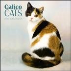 Calico Cats 2010 Wall Calendar