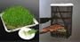 Food Pantrie Hanging Food Dehydrator