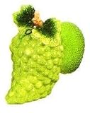 GREEN GRAPE Scouring/Brillo Pad Holder & Pad NEW