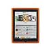 Hard Candy Cases Sleek Skin Case for Apple iPad, Orange, (SK-IPAD-ORN)
