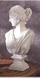 18 Diana Roman White Bust Statue