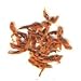 Löwenohr, 20g