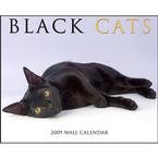 Black Cats 2009 Wall Calendar