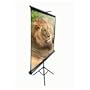 Elite Screens Tripod Portable Projection Screen, 1:1 Aspect Ratio-119in (Max White)
