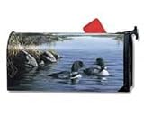 Mailwraps Loon Pair Mailwrap