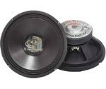 Professional Premium PA Woofer - 10, 600-Watts