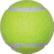 Tennis Balls - Economy Practice - Equipment