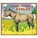 Pin The Tail on The Donkey Game by Schylling