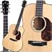 Breedlove Voice Revival D/SMe Acoustic Electric Guitar with Hardshell Case