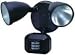 Bronze Two-Headed Flood Light
