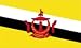 Brunei 3x5 Flag