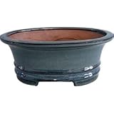21d2iJ2Vg5L. SL160  6 inch Bonsai Pot