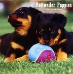 Rottweiler Puppies 2009 Mini Wall Calendar