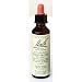 Bach Flower Essences Flower Essence Wild Rose
