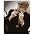 Thumbnail image of Leonard Cohen