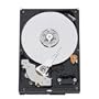 Western Digital WD3200KSRTL Caviar 320 GB SATA 3.5-Inch Hard Drive