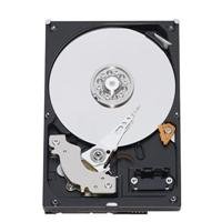 Western Digital WD3200KSRTL Caviar 320 GB SATA 3.5-Inch Hard Drive