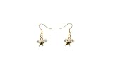 NHL Dallas Stars Earrings