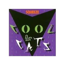 Cool for Cats